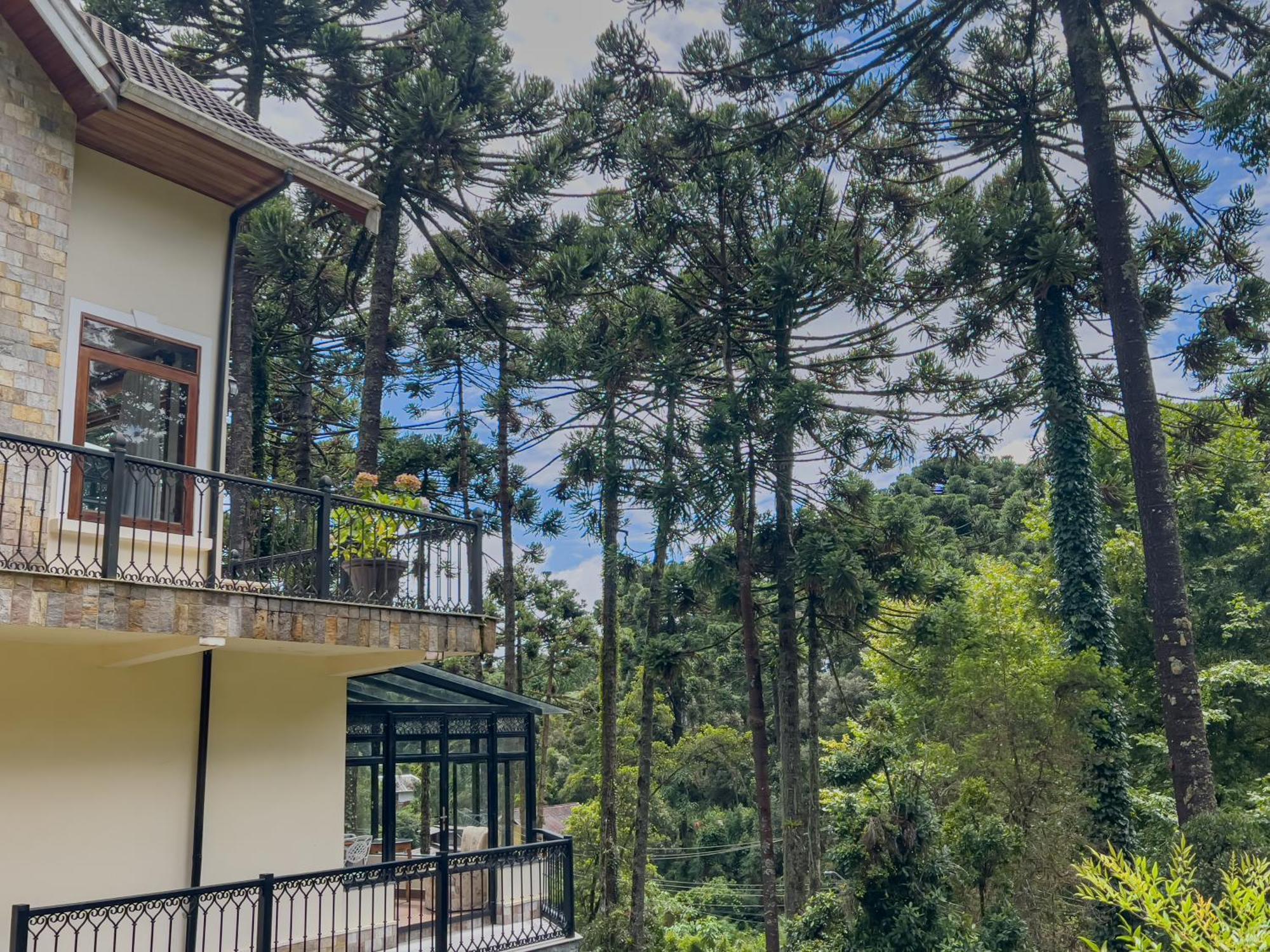 Araucaria Lodge Кампус-ду-Жордау Экстерьер фото