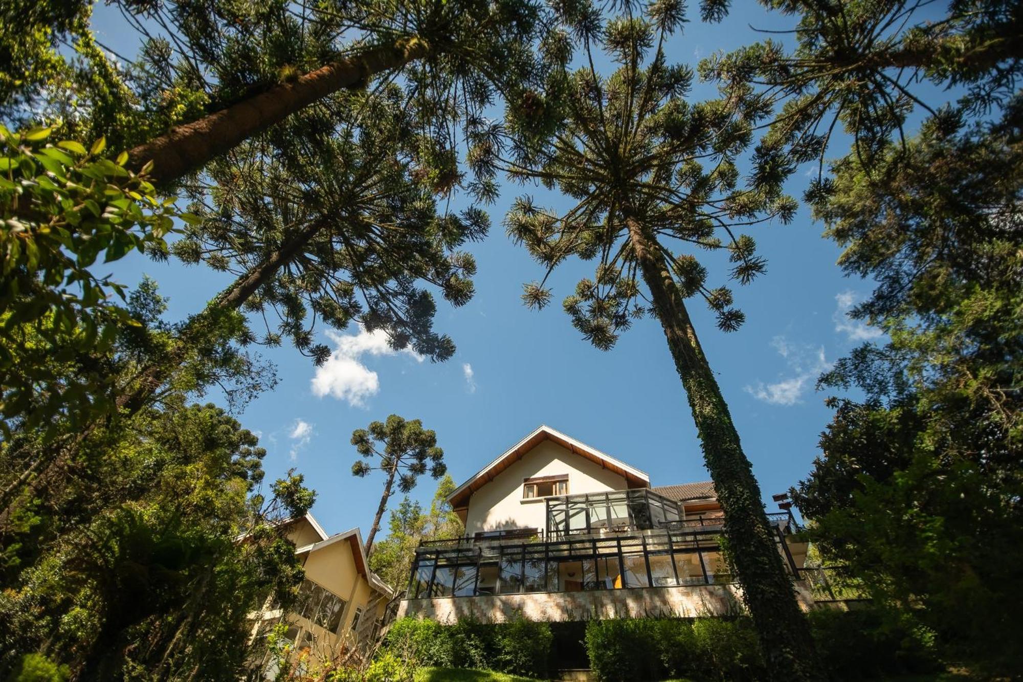 Araucaria Lodge Кампус-ду-Жордау Экстерьер фото